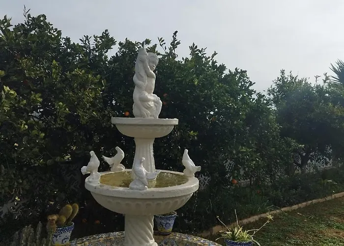 Naranjo סביליה