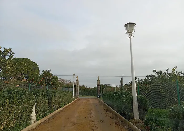 מלון Naranjo סביליה