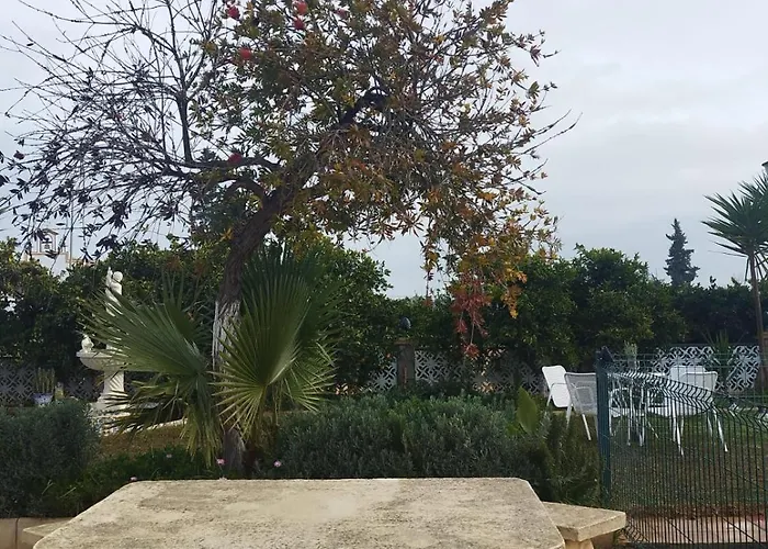מלון Naranjo 4*